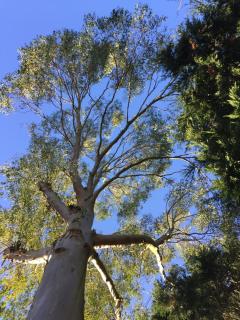 Gîte climatisé de La Haute Rue - Touvois - 1