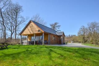 LLanddewi Retreat - Llanddewi Ystradenny - 6