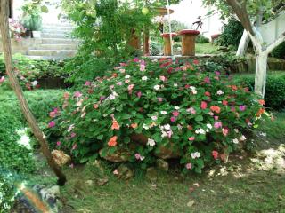 Villa Exotica - Balchik - 4