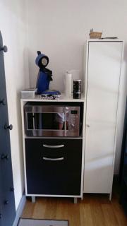 studio des écureuil - 1