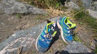 Gästeheim Pötscher - 1