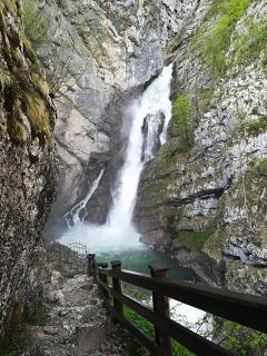 Apartments & Rooms Stare - Bohinj - 7
