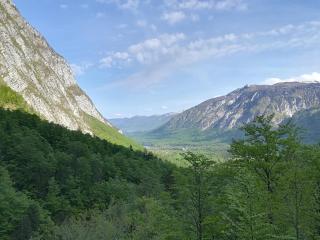 Apartments & Rooms Stare - Bohinj - 9