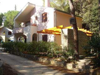 Apartman Biograd - Biograd na Moru - 9