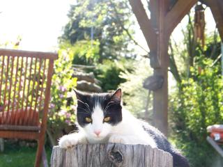 Ferienwohnung Fam. Falk - 5