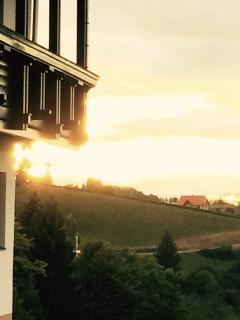 Gasthof Tischlerwirt - Kitzeck im Sausal - 8