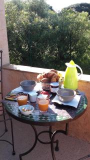 Chambres d'hôtes Villa Alizé - Grimaud - 3