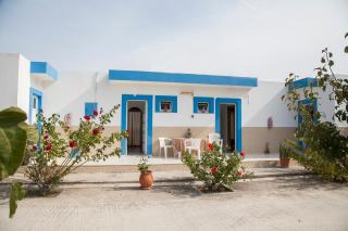 Matina Studios - Kefalos - 9