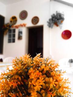 B&B Casa Blanca - San Vito lo Capo - 5