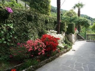 Villa Plinio Lago di Como - Dervio - 4