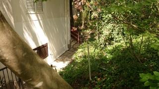 BG apartman - Sutomore - 5
