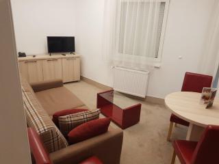Holiday Wing Apartment 2 - Jagodina - 4