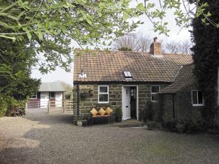Moorlands Cottage - Levisham - 1