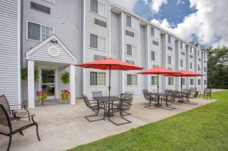 Microtel Inn and Suites Gassaway - Bison - 5