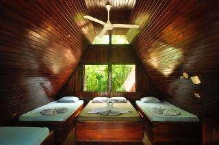 Howler Monkey Hotel - Montezuma - 3