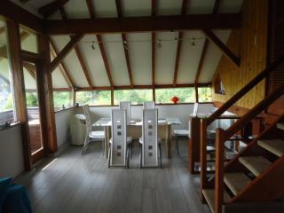 Chalet Contemporain Plein Nature - Altenbach - 3