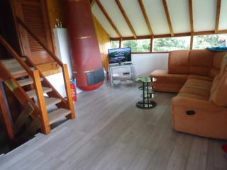Chalet Contemporain Plein Nature - Altenbach - 4