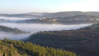 Shoresh Green Hills - 5