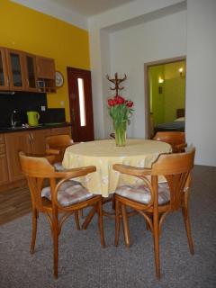 Apartmán Dobrá Naděje - Uherské Hradiště - 7