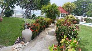 Whispering Bamboo Cove Resort - Belfast - 9