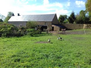 Gite du Jardin Des Sources - Vaux-sur-Seulles - 3