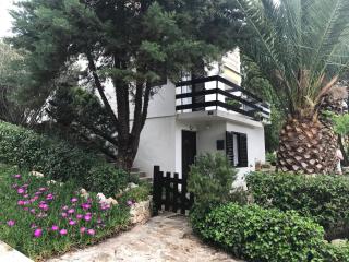 Apartment Lavanda - Molat - 5