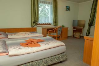 Pension zum Schwanenteich - Haldensleben - 8