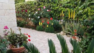 Philippou Beach Villas & Apartments - Larnaca - 5