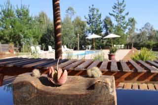 Bosques de San José Lodge - Algarrobo - 1