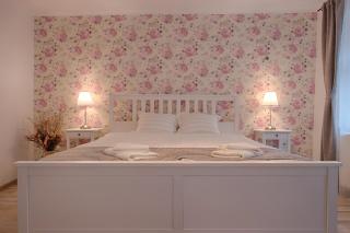 Casa Witting - Brasov - 9
