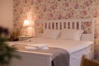 Casa Witting - Brasov - 8