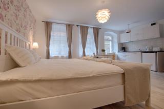 Casa Witting - Brasov - 5