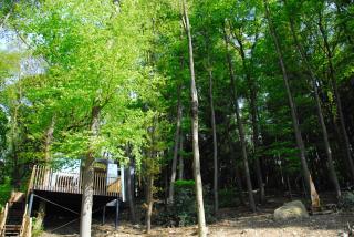 Gite des Bois de Spa - Spa - 3