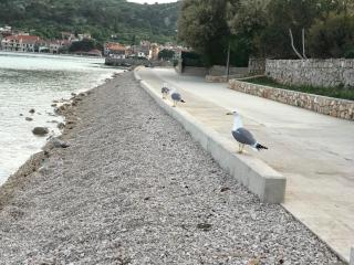 Ivančica Apartments - Tisno - 8