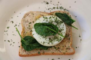 The Point B&B - Kaikoura - 6
