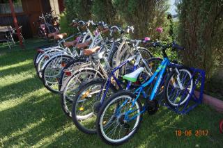 Domki-Apartamenty HALS - 6