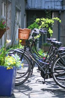 Antique Apartments Plac Szczepański - 5