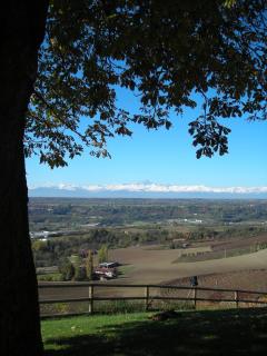 Bricco Rosso - Farigliano - 2