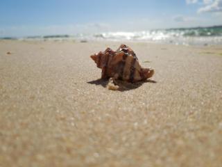 Alta Oura - Albufeira - 8