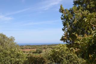 Casa indipendente immersa nel verde con vista mare - Dorgali - 4