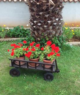 Apartment Summer house 2 - Medulin - 6