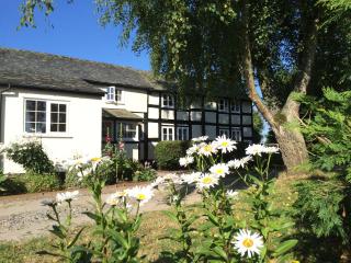 Yew Tree Cottage - Leominster - 8