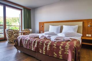 HOTEL Bioterme Mala Nedelja - Ljutomer - 9
