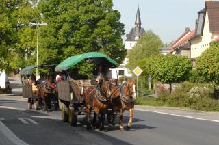 Heidepension Anja - Hohenleipisch - 8