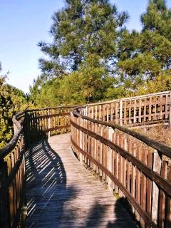 Residence Corallo - Rosolina Mare - 3