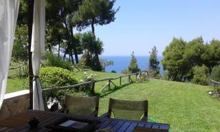 Beachside Haven, Poolside Serenity & Sunset Magic - Kalandra - 9