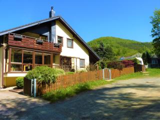 Ferienwohnung im Wald mit Kamin - 6