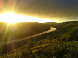 Apartment an der Mosel 1 - Graach - 0