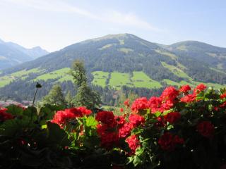 Alpbachblick - Alpbach - 7