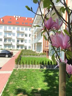 Janosik - Stettin - 0